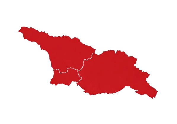 Infographic Of Georgia