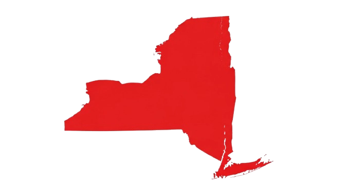 Infographic Of New York